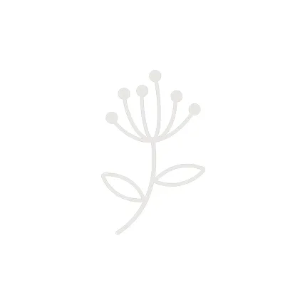 living-nature-logo-bloem